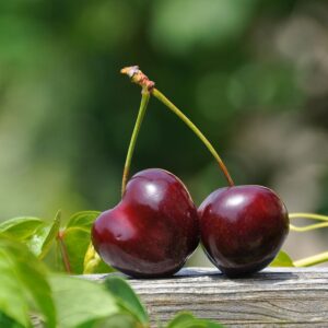 Red Cherry