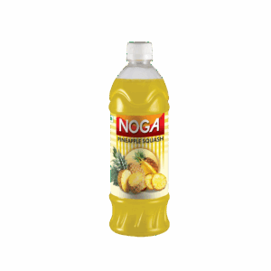 NOGA Pineapple Squash