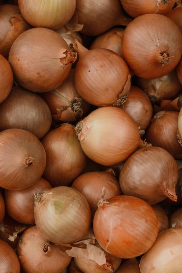 Onion - Image 2
