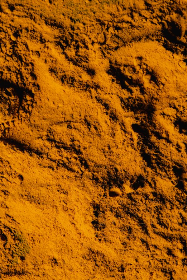 Turmeric - Image 2