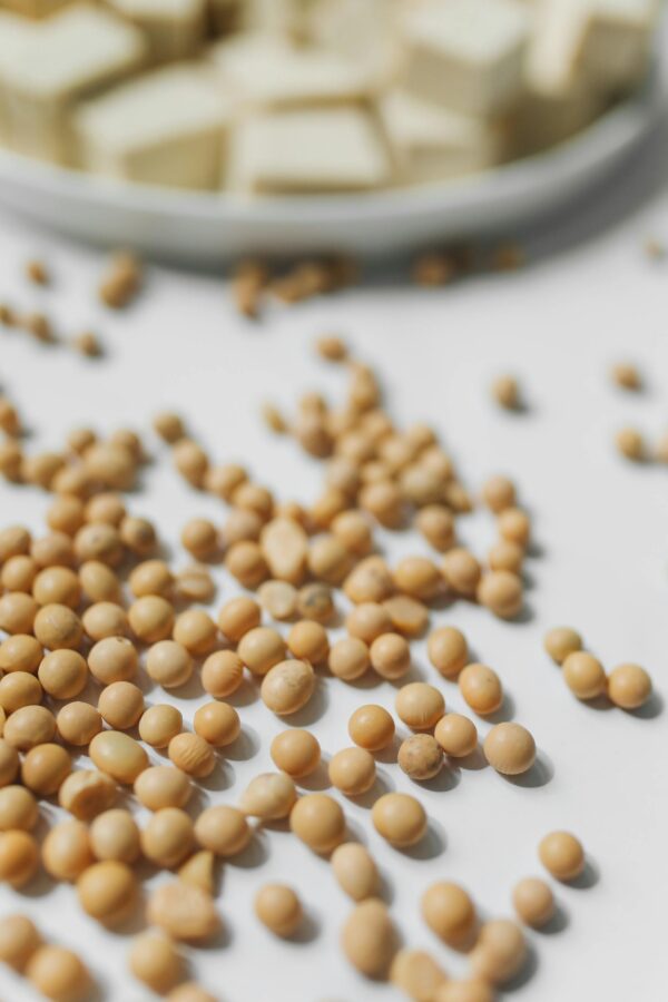 Soybean - Image 2