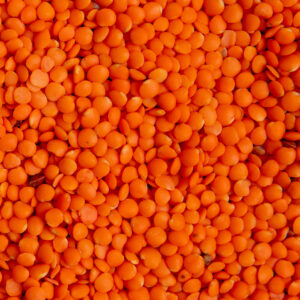 Red Gram (Toor Dal)
